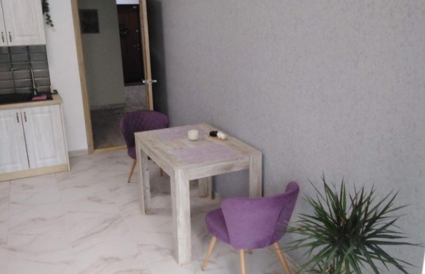 Продаж великой 1 кімнатної квартири Бородинський мікрорайон., фото 1