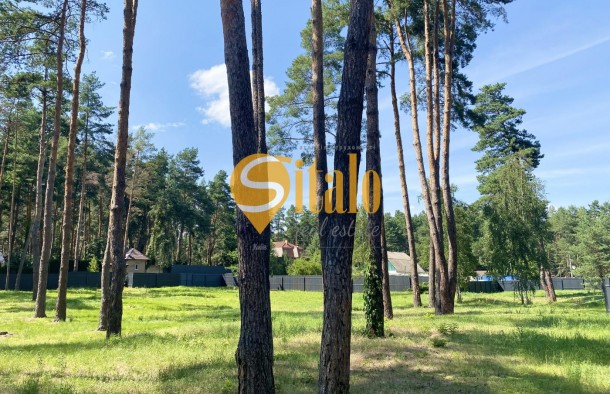 У сосновому лісі біля Романківська Усадьба, Новообухівський напрямок, 42,61 сотки, фото 5