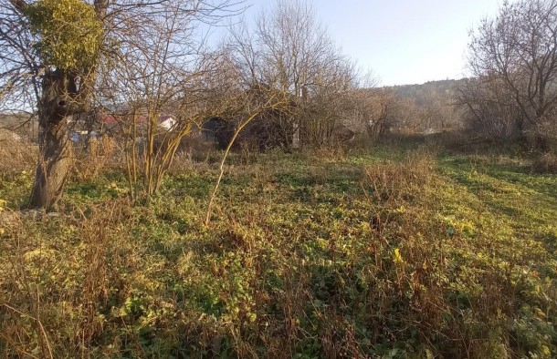 Старий будинок в с . Завадів Жовківський рн Львівська обл, фото 7