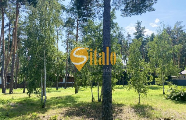 У сосновому лісі біля Романківська Усадьба, Новообухівський напрямок, 42,61 сотки, фото 4