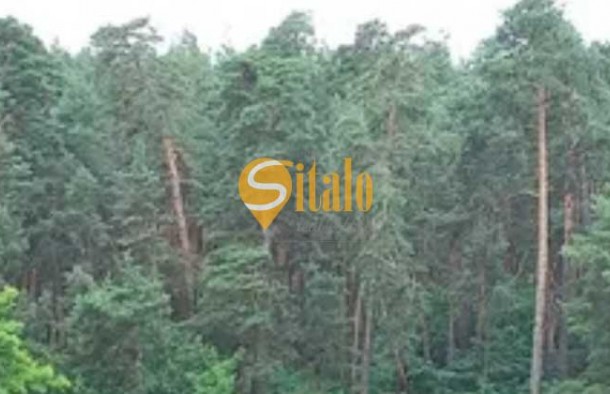 Продаж 1 кімн квартири ЖК Вудсторія М. Хвильового Червоний хутор, фото 18