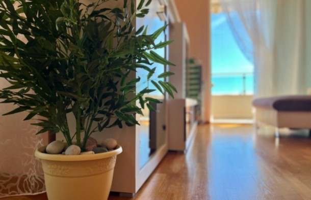 Продаж квартир в Чорногорії в Бечичі bc01437.2bd_s8035, фото 21