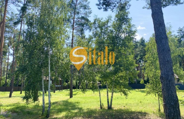 У сосновому лісі біля Романківська Усадьба, Новообухівський напрямок, 42,61 сотки, фото 11