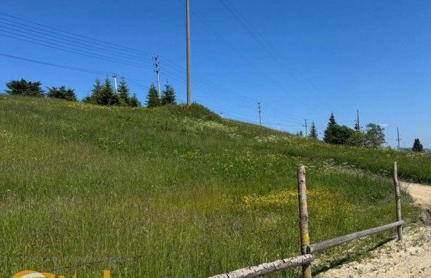 Продається земеля  в Яблуниці  Карпати, фото 11