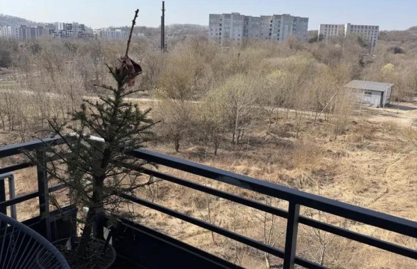 Продаж 1 кімнатна квартира вулиця Під Голоском, ремонт, фото 8