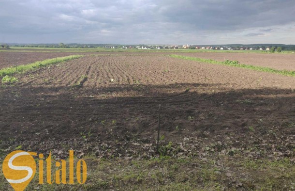 Продаю земельну ділянку СГ призначення. вул. Тисменицька, фото 1