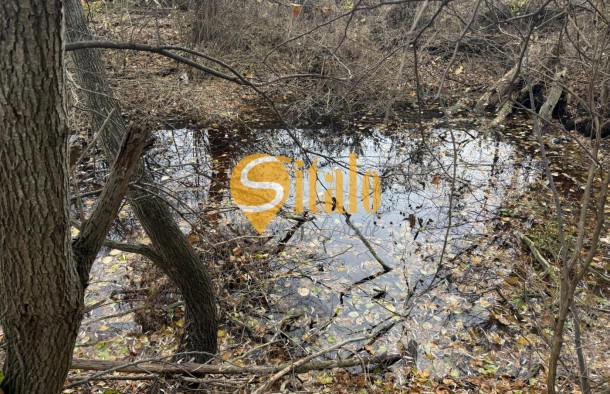 25 соток в тихому місці. Вишеньки, поруч КМ Золоче. Без, фото 7