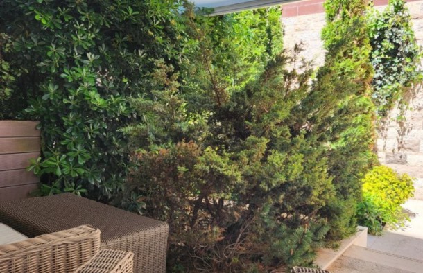 Продаж квартир в Чорногорії в Будві bd011.1bd_s8677, фото 12