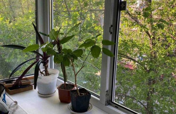 Продаж 3х кімн. квартири бульвар Маяковського., фото 13