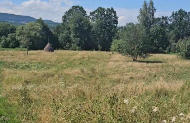 Земельні ділянки 1.87гас.СтопчатівКосівський район, фото 2