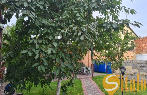 Продаж просторого будинку для великої родини, фото 9