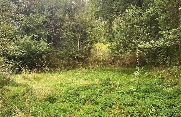 Продаж дачна ділянка село Рокитно Яворівський рн Львівська обл., фото 1