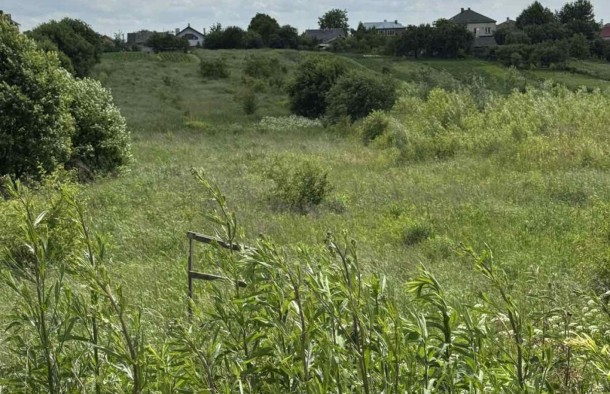 Продаж землі ОСГ, Сокільники, Львів, фото 3