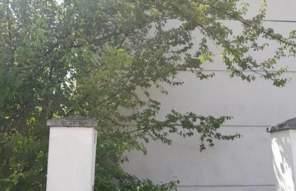 Будинокдача у Львові, фото 4