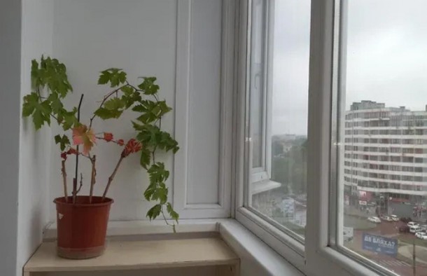 2 кім квартираремонтмеблітехнікаПасічнаФранківськ, фото 16