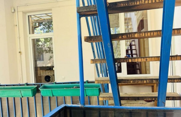 ексклюзивна дворівнева квартира в самому центрі Львова, проїзд Крива липа, фото 20