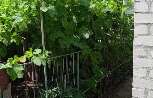 Два будинки на одній ділянці, фото 8