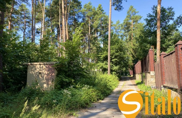 У сосновому лісі біля Романківська Усадьба, Новообухівський напрямок, 15 соток, фото 8