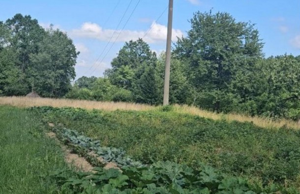 Земельні ділянки 1.87гас.СтопчатівКосівський район, фото 10