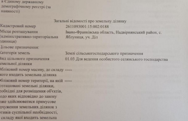 Продається земельна ділянка  в Яблуниці, фото 2