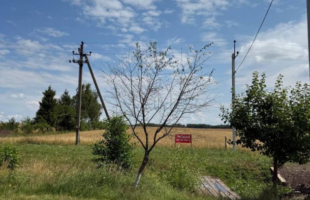 Продаж земельної ділянки без комісії  під будівницство, Підгайці, Львівська область, фото 2