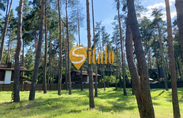 У сосновому лісі біля Романківська Усадьба, Новообухівський напрямок, 42,61 сотки, фото 1