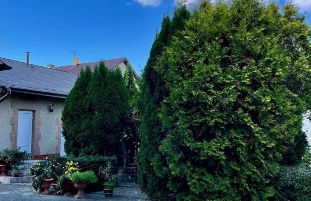 Продаж будинку 2 поверхи м. Дубляни м.Львів, фото 9