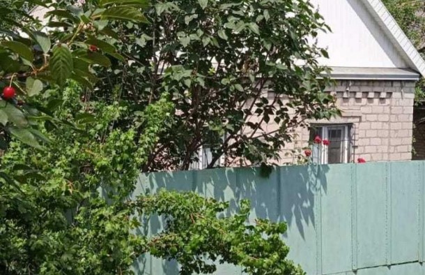 Два будинки на одній ділянці, фото 1