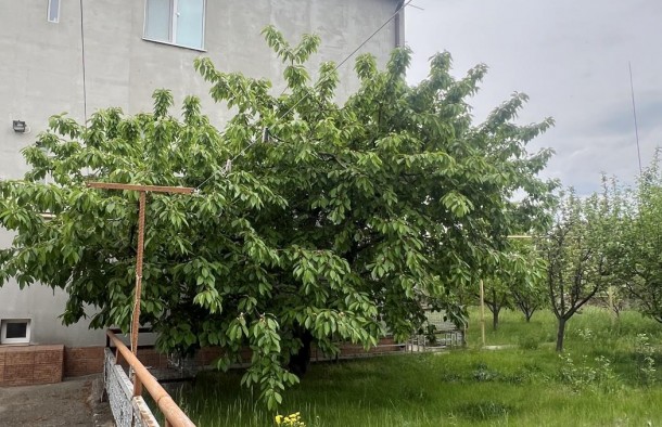 Продаж будинку Правий Берег Сонячний, фото 37