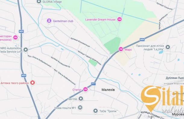 Продаж земельної ділянки біля Львова, с. Малехів, фото 2