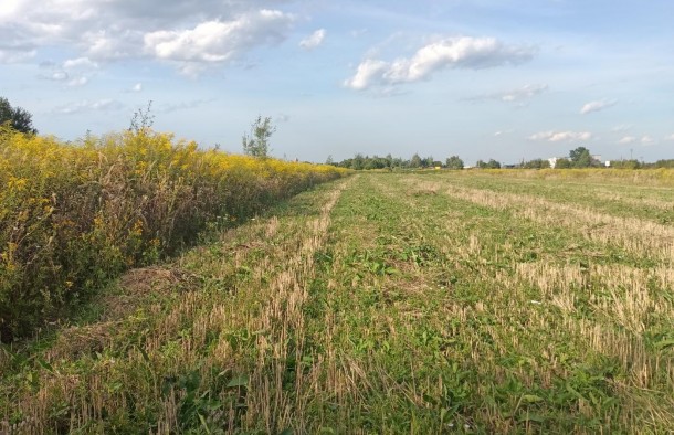 Продаю Земельну ділянку с г призначення . Чукалівка, фото 8