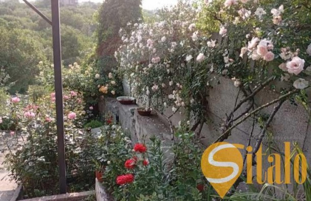 Продаж  Будинок  вул. Шевченка, Олександрівський, Запоріжжя, фото 16