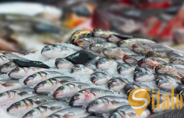 Продаж  Торгівельна площа  Хуторівка, Новий Львів, Львів, фото 3