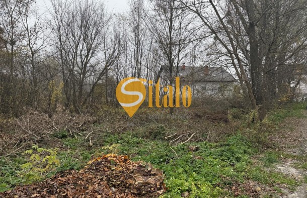 25 соток в тихому місці. Вишеньки, поруч КМ Золоче. Без, фото 8