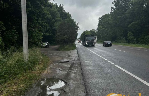 Земельна ділянка 3 гектари в Бартатові, Львівська область. Львів., фото 3