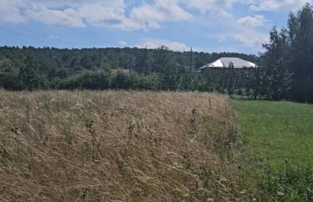 Земельні ділянки 1.87гас.СтопчатівКосівський район, фото 6