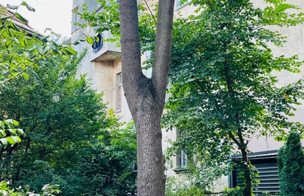 4 кімнатна дворівнева квартира з ремонтом, вулиця Котляревського, місто Львів, фото 1