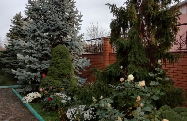 Продаж  Будинок  Дом  Шевченківський, Запоріжжя, фото 25