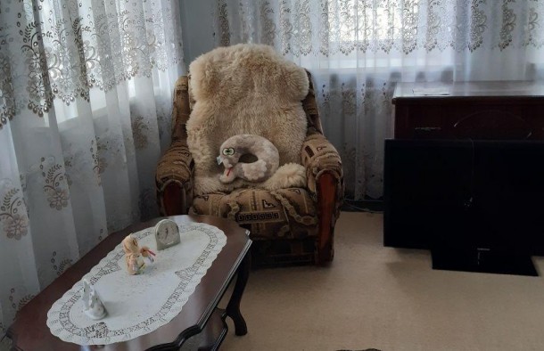 Дом со всеми удобствами, фото 4