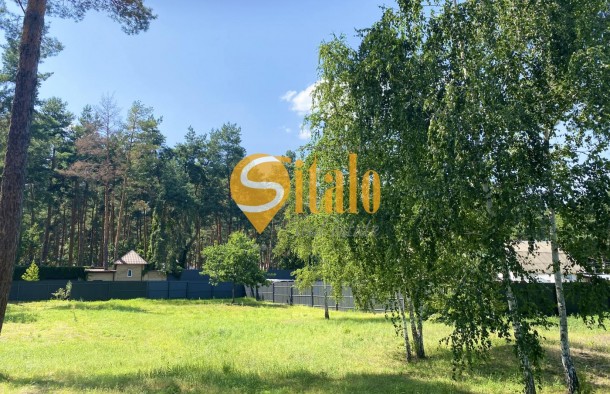 У сосновому лісі біля Романківська Усадьба, Новообухівський напрямок, 42,61 сотки, фото 12