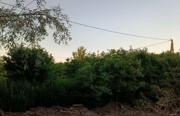 Земельна ділянка рівної і правильної форми 20 соток в перспективному селі Ременів, фото 7