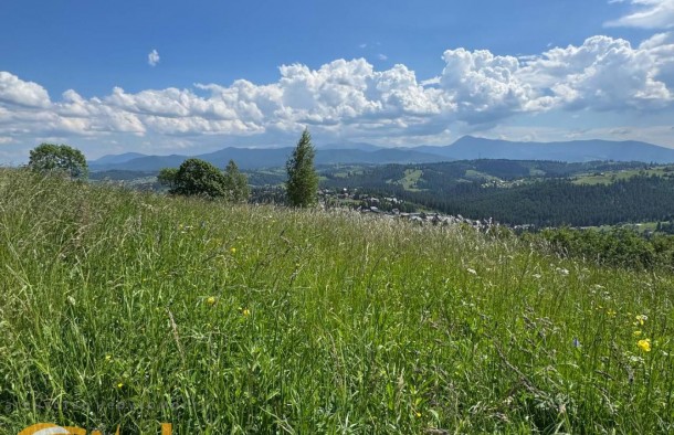 Продається земеля  в Яблуниці  Карпати, фото 12