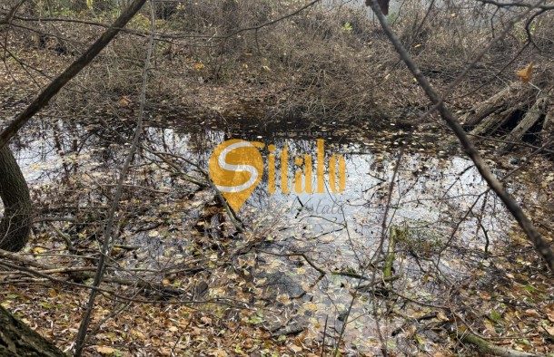 25 соток в тихому місці. Вишеньки, поруч КМ Золоче. Без, фото 5