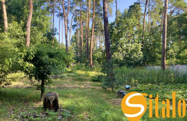 У сосновому лісі біля Романківська Усадьба, Новообухівський напрямок, 15 соток, фото 3