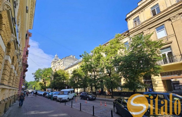 2к квартира, австрійський будинок, ремонт, центр, вул. С. Стрільців, місто Львів., фото 13