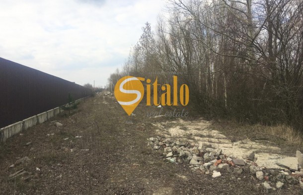 Продаж ділянки у березовому гаю біля річки Козинка Козин КончаЗаспа, Рудики, Плюти., фото 7