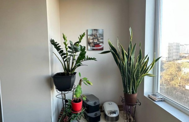 Продаж 2 квартира вул.Горбачевського,Пасічна., фото 9