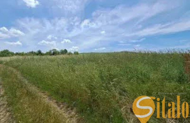 Продаж земельної ділянки з дачею, с. Бірки, Львів, фото 3