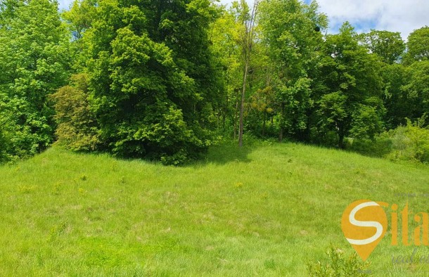 Продаж  Земля під сад, город  Винники  Львів, фото 1