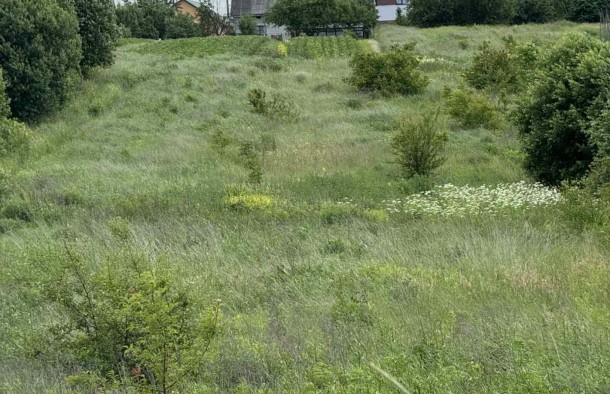 Продаж землі ОСГ, Сокільники, Львів, фото 1